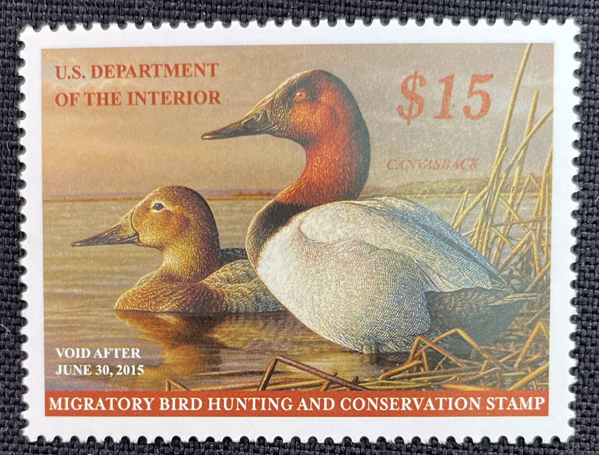 RW81 Canvasbacks Duck Stamp: Allstamp.net