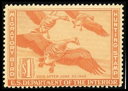 "RW11, Fine NH White-fronted Geese,  Duck Stamp"