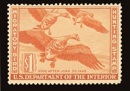 "RW11, FVF NH White-fronted Geese,  Duck Stamp"