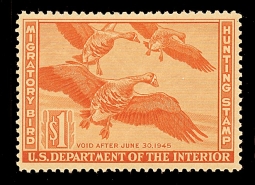 "RW11, VF LH White-fronted Geese,  Duck Stamp"