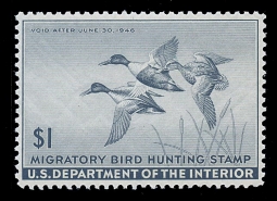 "RW12, FVF NH Shoveller  Duck Stamp"