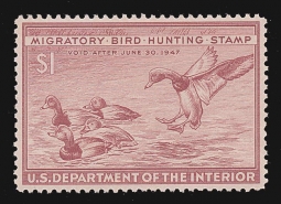 "RW13, VF NH Redheads  Duck Stamp"