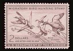 "RW20, FVF NH Blue-winged Teal,  Duck Stamp"