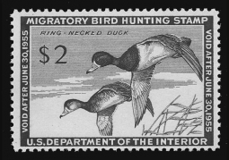 "RW21, VF NH Ring-necked  Duck Stamp"