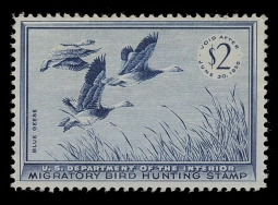 "RW22, VF NH Blue Geese  Duck Stamp"