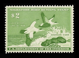 "RW24, VF LH American Elder  Duck Stamp"