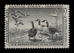 "RW25, FVF NH Canada Geese  Duck Stamp"