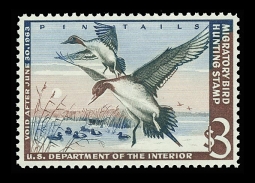 "RW29, VF LH Pintail Drakes  Duck Stamp"