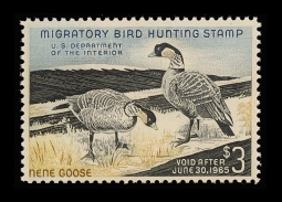 "RW31, VF NH Hawaiian Nene Geese,  Duck Stamp"