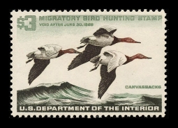 "RW32, VF NH Canvasbacks,  Duck Stamp"