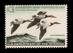 "RW32, FVF NH Canvasbacks,  Duck Stamp"