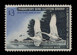 "RW33, FVF NH Whistling Swans,  Duck Stamp"