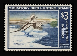 "RW34, FVF NH Old Squaw  Ducks Stamp"