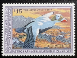 "RW59, VF NH Spectacled Elder, Duck Stamp"