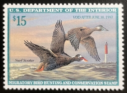 "RW63, VF NH Surf Scooters, Duck Stamp"