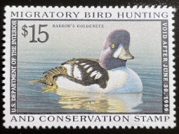 "RW65, VF NH Barrow's Goldeneye Duck Stamp"