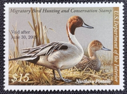 "RW75, VF NH Northern Pintail Duck Stamp"