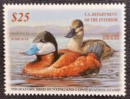 "RW82 VF NH Ruddy Ducks, Duck Stamp"