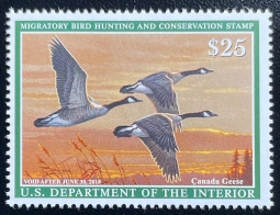 "RW84 VF NH Canada Geese, Duck Stamp"