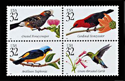 3222-5   Tropical Birds