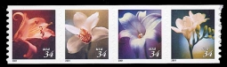 2001 #3478-81a Flowers Coil Strip of 4