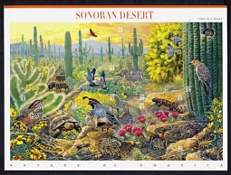 3293  Sonoran Desert