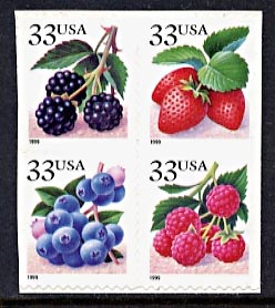 3294-7c  Berries 1999