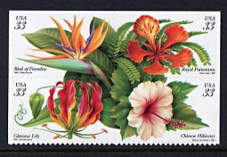 3310-13  Tropical Flowers