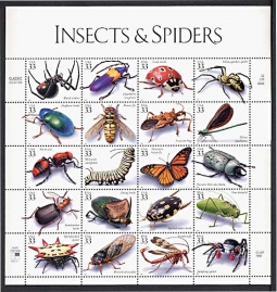 3351 Insects and Spiders