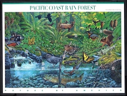 3378  Pacific Coast Rain Forest
