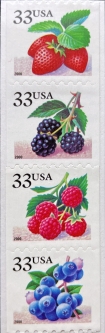 3404-7  Berries Vertical Coil Strip