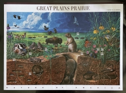 US 3506 Great Plains Prairie