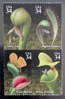 3528-31  Carnivorous Plants