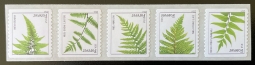 US 4874-78 Ferns Forever Coil Strip