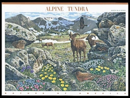 US 4198, Alpine Tundra