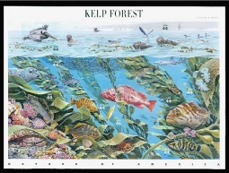 US 4423 Kelp Forest