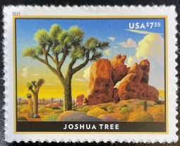 U.S. 5347, 2019 Johsua Tree Priority Mail