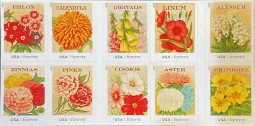 US 4754-63 Seed Packets